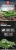 5502601.webp