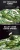 5502603.webp