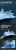 3303003.webp