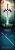9901401.webp