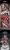 3301503.webp