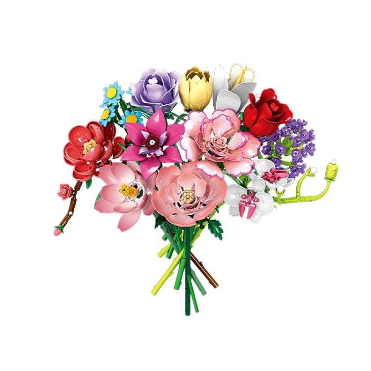 11543 (1).png